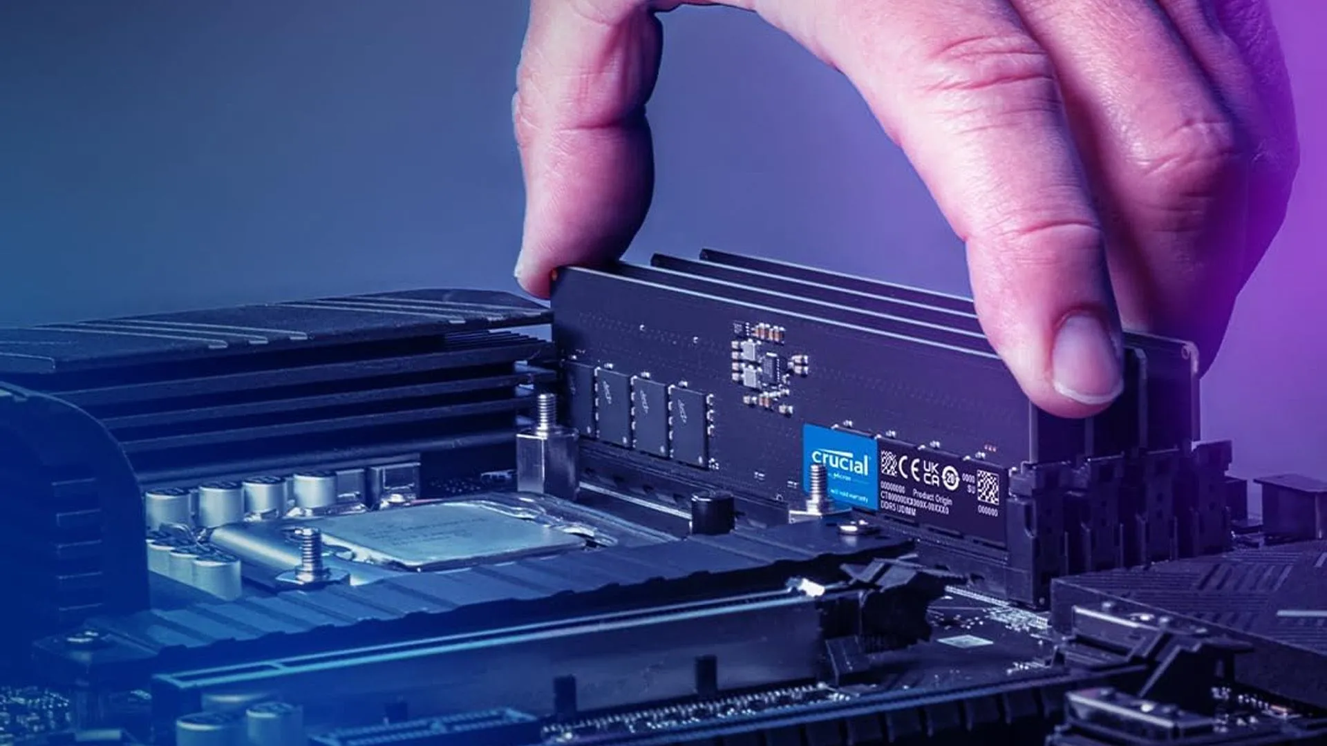 Cận cảnh một thanh RAM Crucial DDR5 đang được lắp đặt vào khe cắm trên bo mạch chủ, minh họa quá trình nâng cấp RAM.