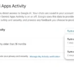 Giao diện cài đặt Hoạt động ứng dụng Google Gemini liên quan đến việc lưu trữ tương tác người dùng