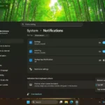 Giao diện cài đặt tùy chỉnh vị trí hiển thị âm lượng và độ sáng trên Windows 11