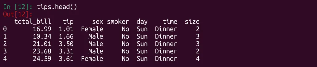 Kết quả lệnh tips.head() hiển thị 5 hàng đầu tiên của bộ dữ liệu 'tips' trong IPython, kiểm tra cấu trúc dữ liệu trước khi phân tích thống kê Pandas.