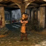 Lính gác trong Skyrim bị che mặt bởi chiếc xô, minh họa lỗi hài hước trong game