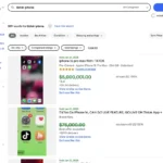Màn hình eBay rao bán iPhone đã cài TikTok với giá ảo lên tới 5 triệu USD