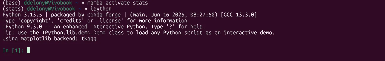Màn hình terminal Linux hiển thị lệnh kích hoạt môi trường Mamba và khởi động IPython, hướng dẫn thiết lập môi trường phân tích dữ liệu Python.