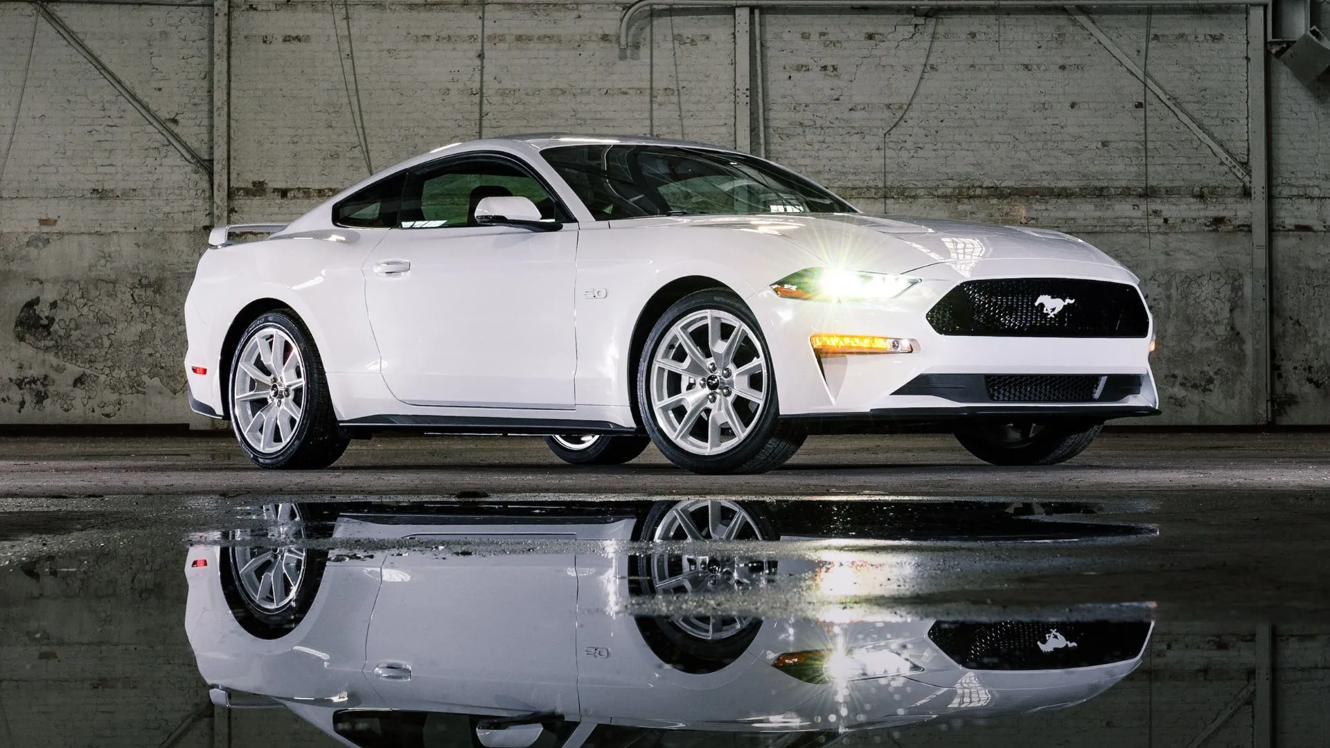 Mẫu xe Ford Mustang Coupe 2022 trắng, một trong những dòng xe Ford bị ảnh hưởng bởi lỗi phần mềm camera lùi.