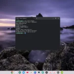 Môi trường terminal Linux hiển thị thông tin phiên bản đang chạy trên Chromebook.