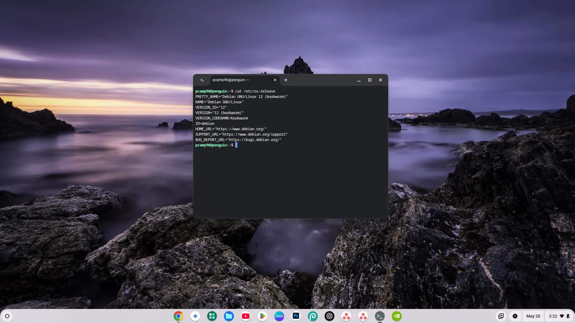 Môi trường terminal Linux hiển thị thông tin phiên bản đang chạy trên Chromebook.