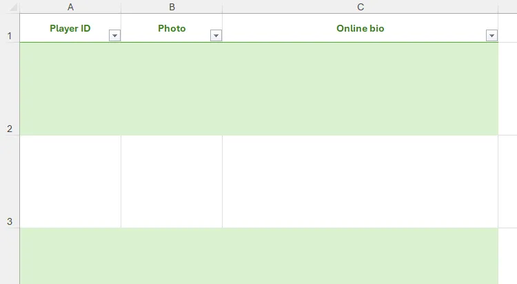 Một bảng Excel trống được định dạng với các tiêu đề cột như &quot;Player ID&quot;, &quot;Photo&quot; và &quot;Online bio&quot;.