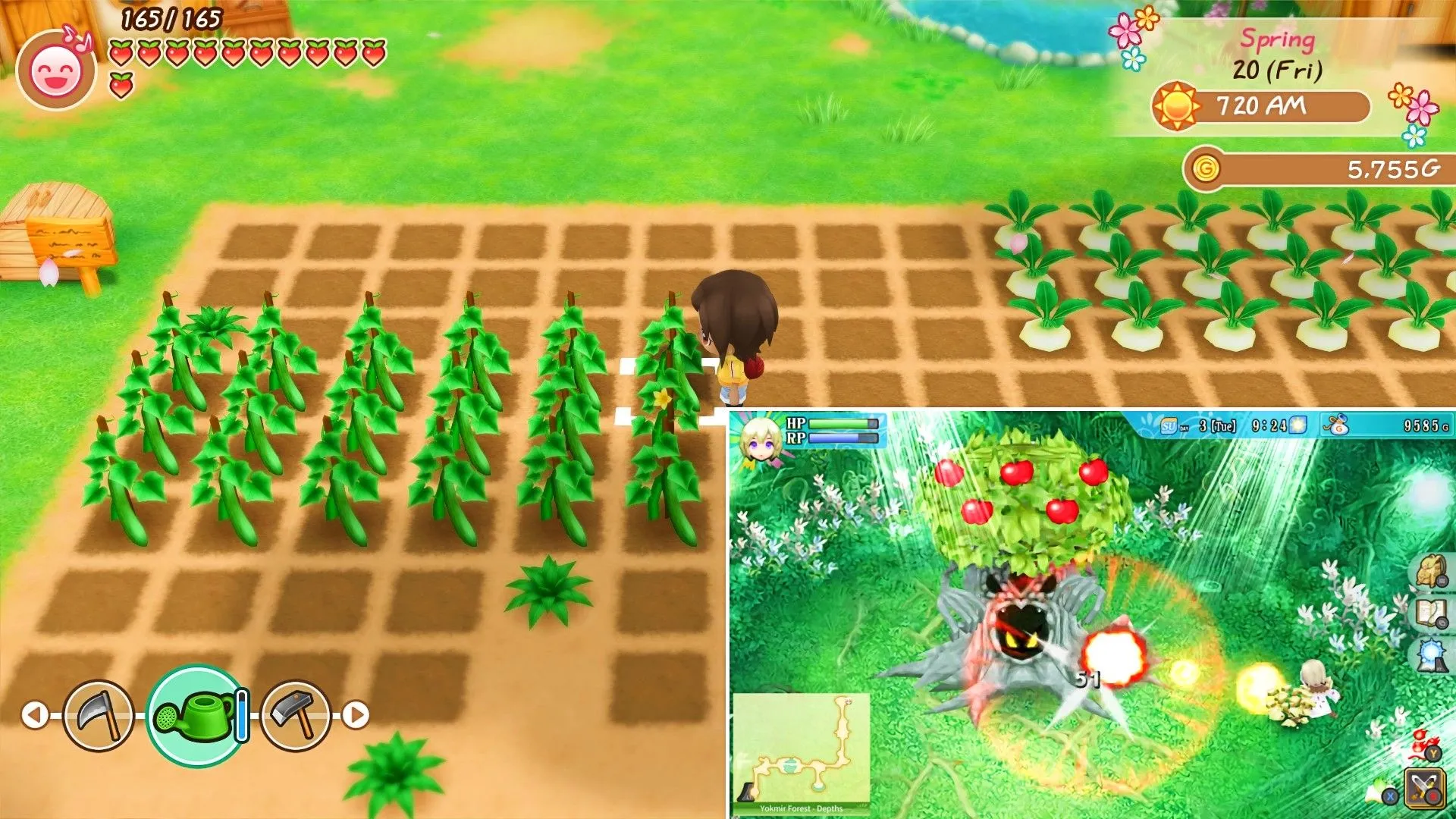 Một người chơi Harvest Moon đang chăm sóc cây trồng, cùng hộp game Rune Factory ở góc.