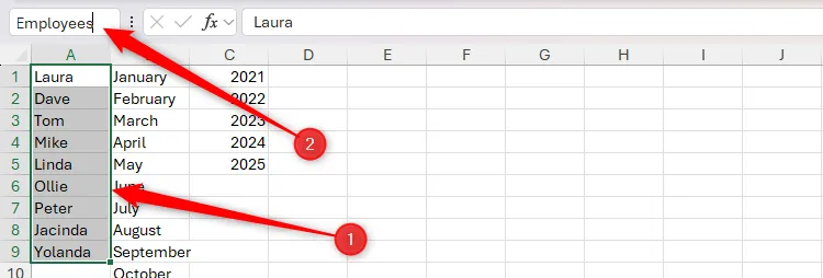 Một vùng ô chứa danh sách tên nhân viên trong Excel được chọn và đặt tên là &quot;Employees&quot; trong Name Box, giúp dễ dàng tham chiếu vùng này trong công thức.