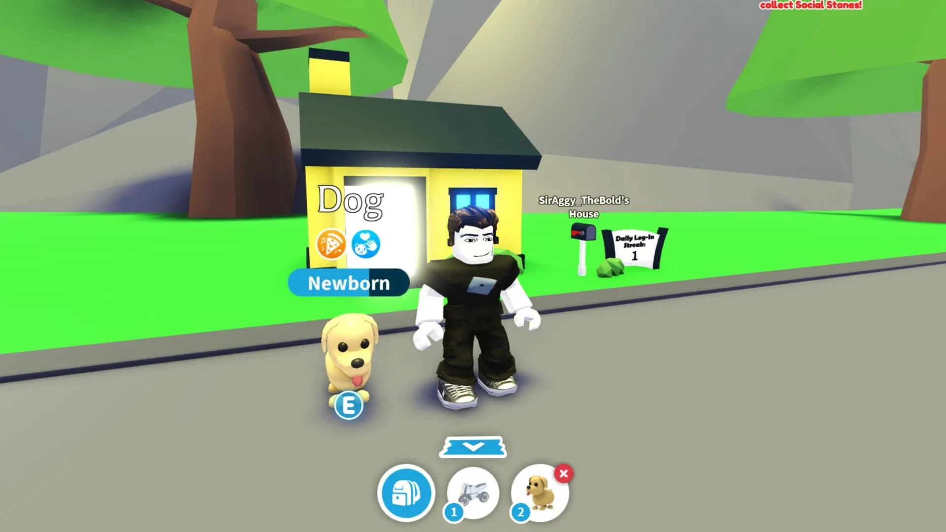 Người chơi bên cạnh chú chó sơ sinh gần nhà trong game Adopt Me trên Roblox