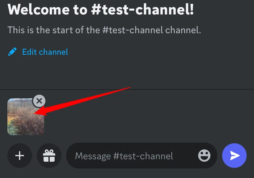 Người dùng nhấn vào ảnh đã đính kèm trong khung chat Discord để xem toàn màn hình.