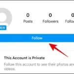 Nút Theo dõi trên trang cá nhân Instagram để nhắn tin tài khoản riêng tư