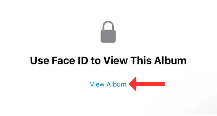 Nút Xem Album để truy cập ảnh đã ẩn trong ứng dụng Ảnh