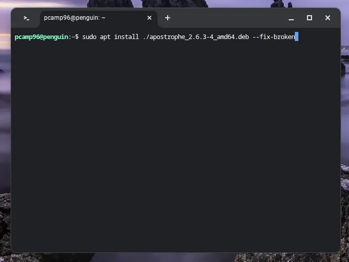 Quá trình cài đặt gói .deb bằng lệnh apt trong môi trường Linux trên Chromebook.