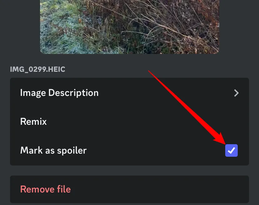 Tùy chọn &quot;Mark as Spoiler&quot; được đánh dấu chọn bên dưới hình ảnh trong Discord mobile.