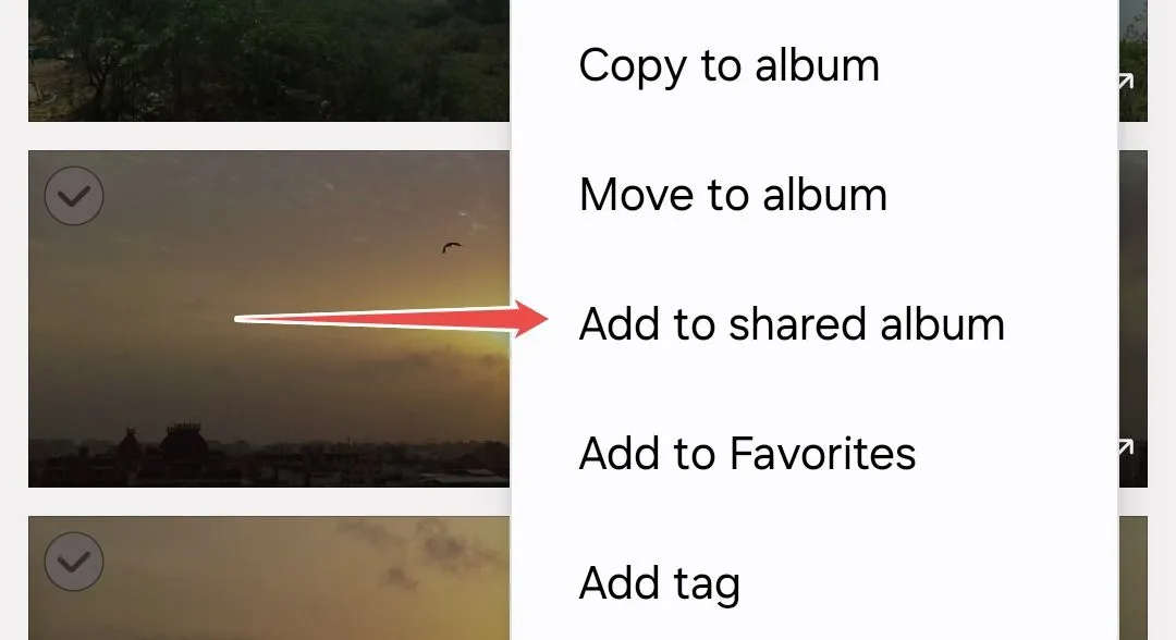Tùy chọn menu thêm vào album chia sẻ trong Thư viện Samsung