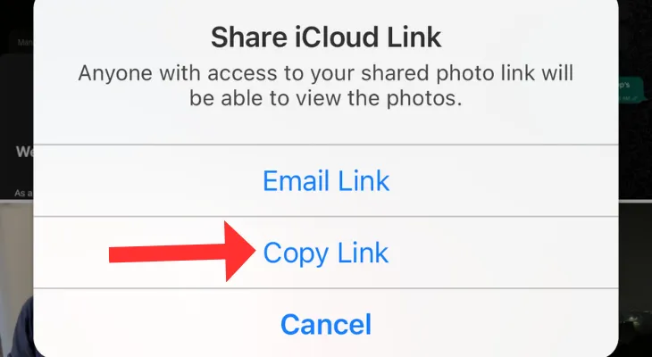 Tùy chọn Sao chép Liên kết đến các hình ảnh đã chọn trên iCloud