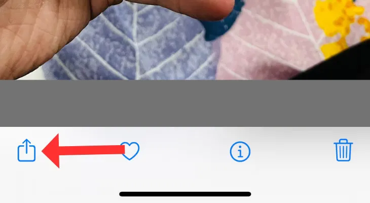 Ứng dụng Photos trên iPhone với mũi tên chỉ vào nút Chia sẻ