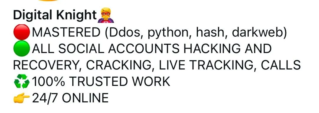 Ví dụ về tiểu sử (bio) trên Instagram có dấu hiệu spam hoặc lừa đảo.