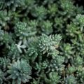 15 phím tắt Word giúp soạn thảo nhanh gấp đôi